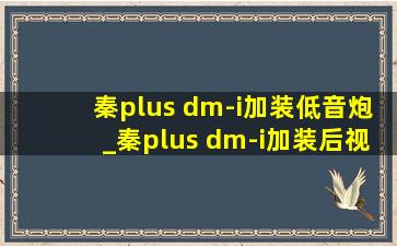 秦plus dm-i加装低音炮_秦plus dm-i加装后视镜折叠